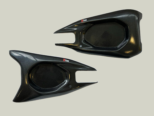 Carbon Schwingenschoner für Ducati Panigale V4/S 2025- Plastic Bike